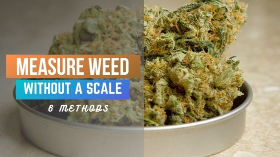 How To: Weigh Weed 